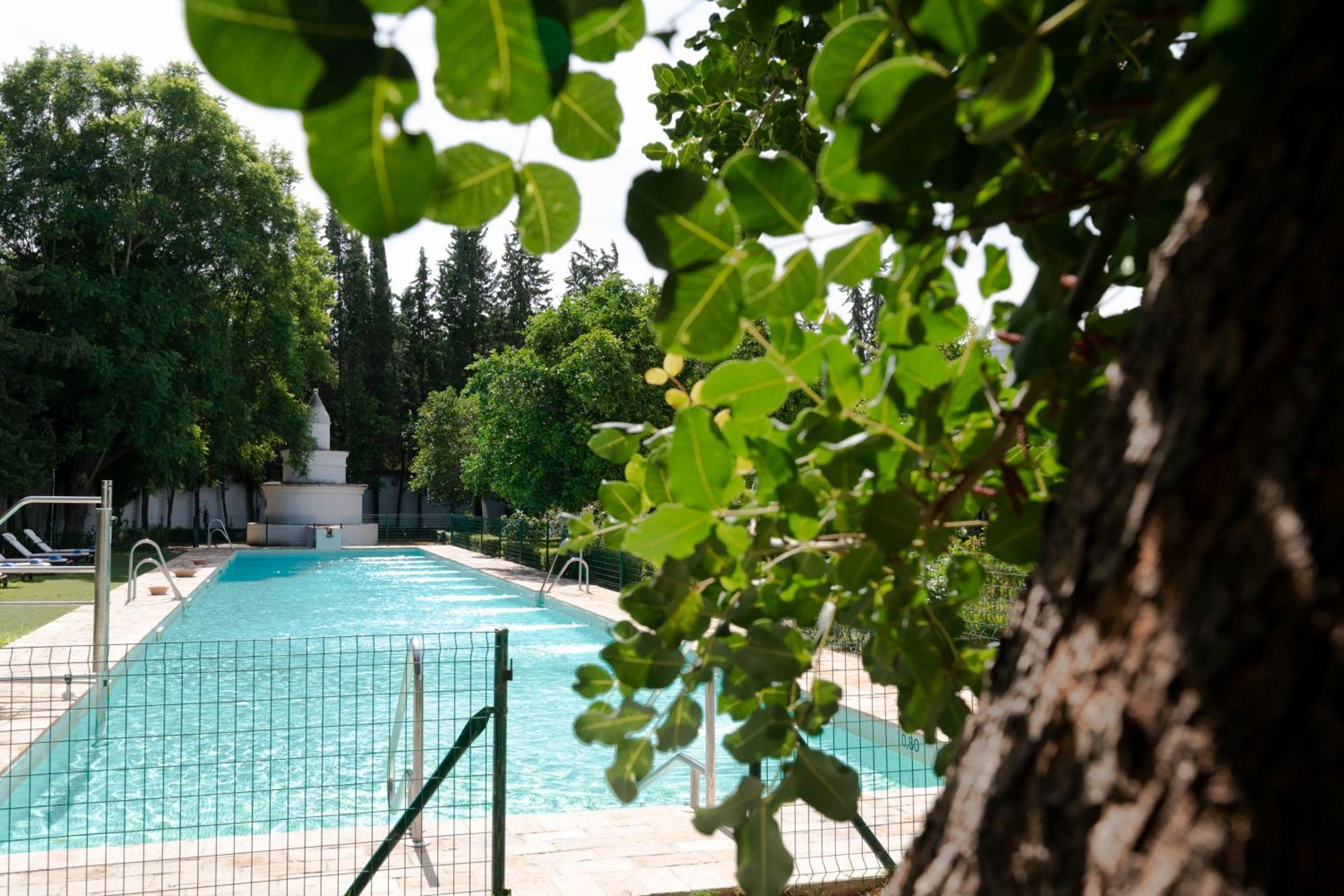 Monasterio De San Francisco Hotel Palma del Río Kültér fotó
